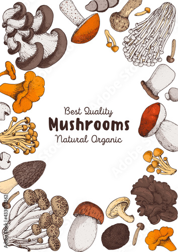 Edible mushrooms hand drawn. Vector illustrations collection. Hand drawn food. Vintage mushrooms. Organic food. Forest mushrooms. Vintage mushrooms background. Healthy food illustration. Colorful set.