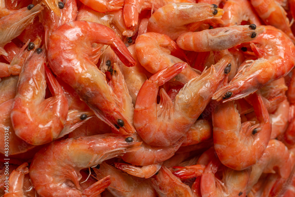 Shrimps background texture. A lot of shrimps. Cooked shrimps. Shrimps background texture. A lot of shrimps. Cooked shrimps.