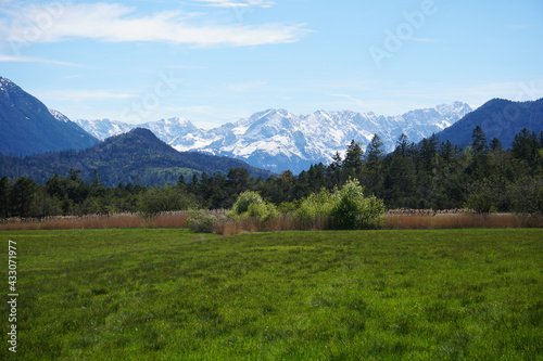 Blick vom Murnauer Moos in die Ammergauer Alpen photo