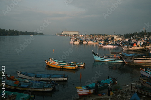 boats in the harbor