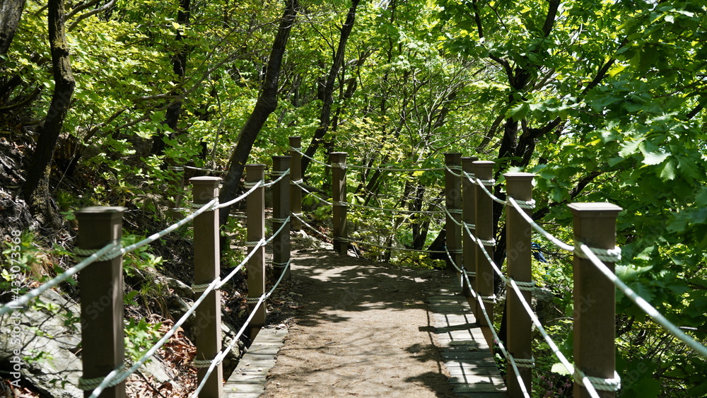 韓国 水原 白雲山の風景 韓国 水原 白雲山の風景