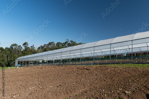 Pequena propriedade rural. São José dos Pinhais, Paraná Brasil. Production of hydroponic strawberries on a small rural property
