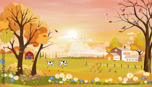 Autumn landscape of farm field with Pink sky. Wonderland of Mid Autumn in countryside with cows, wooden barn and farmhouse in sunny day,Vector backdrop banner for fall season or Autumnal background
