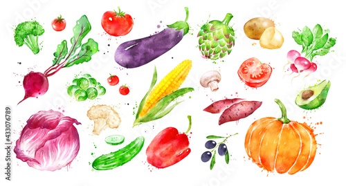 Fototapeta Naklejka Na Ścianę i Meble -  Watercolor illustration set of vegetables
