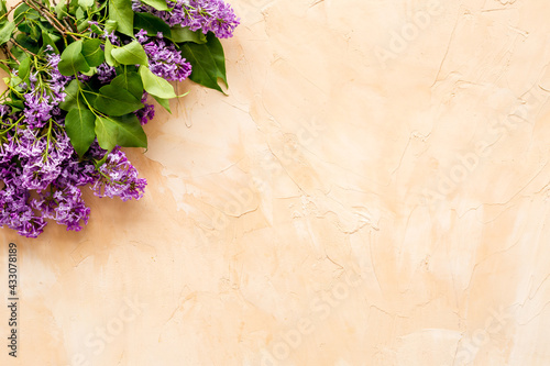 Flat lay of spring lilac flowers. Purple flowers with copy space  top view