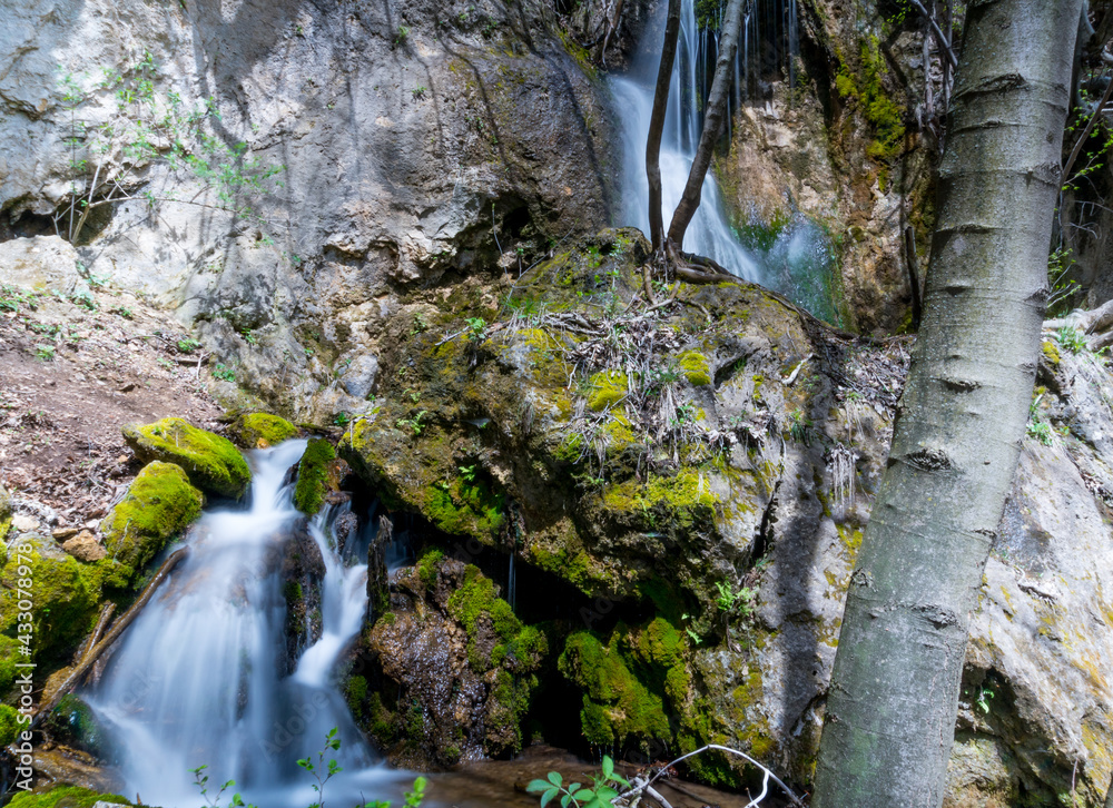 Obraz premium waterfall in the forest