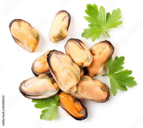 Heap of peeled mussels with greens on a white background, isolated. The view from top photo