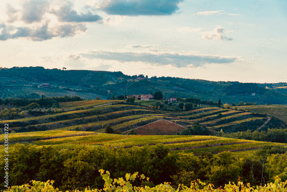 Obraz premium scenic views of the colors of the chianti in tuscany