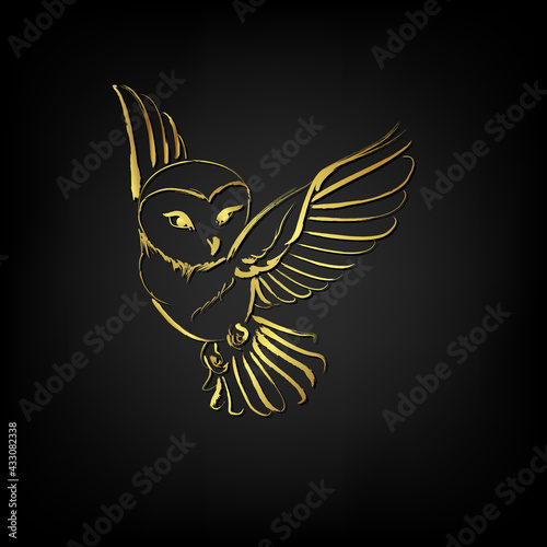Barn owl flying over black background
