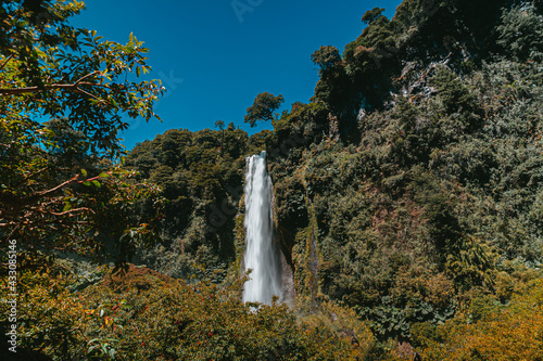 waterfall in the midst of vegetation