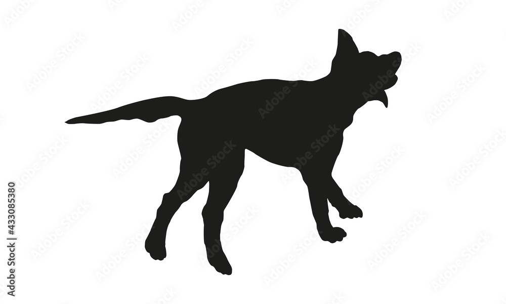 Running and jumping labrador retriever. Black dog silhouette. Isolated on a white background.