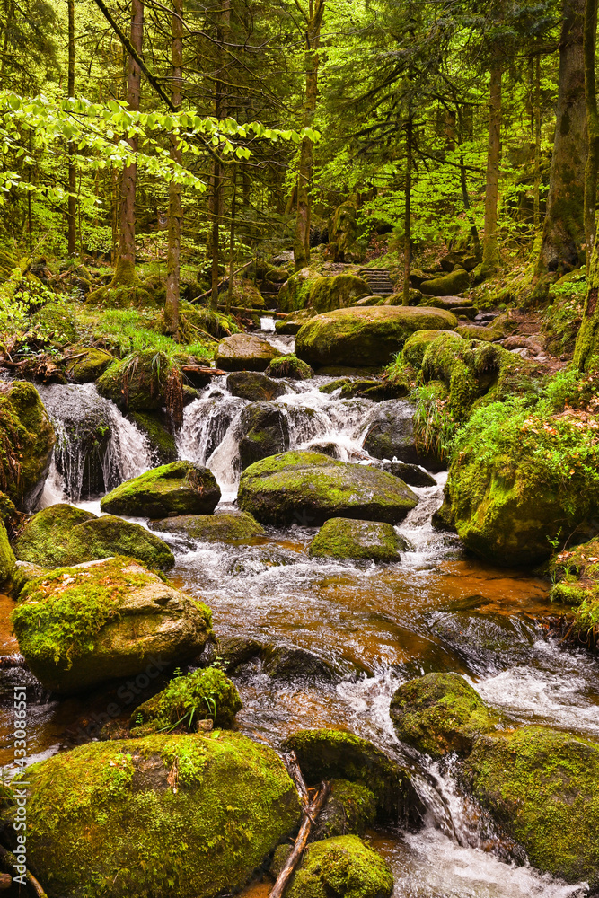 The Gertelbach waterfall in the Bühler valley, Northern Black Forest. Baden-Wuerttemberg, Germany, Europe The Gertelbach waterfall in the Bühler valley, Northern Black Forest. Baden-Wuerttemberg, Germany, Europe