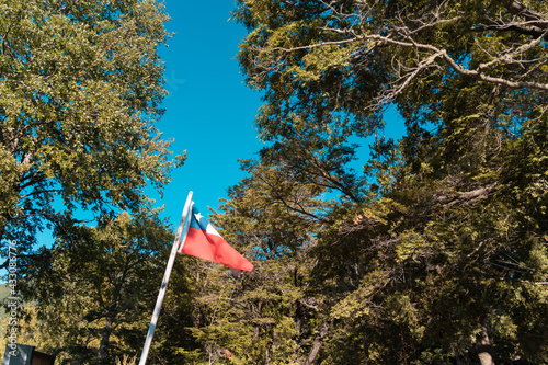 chilean flag flying in the middle of a forest in conguillio