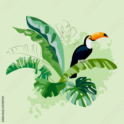 The toucan bird sits on tropical green leaves. Colored vector illustration.
