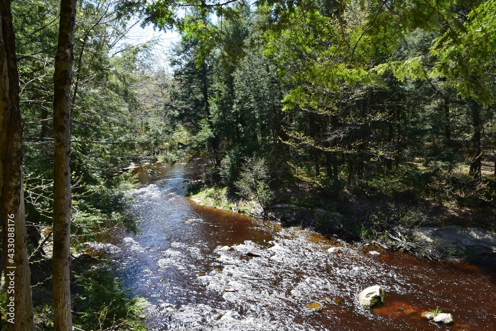 Regional park of the Gentilly river