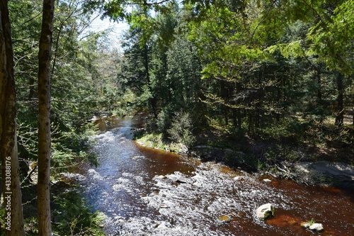 Obraz na płótnie Regional park of the Gentilly river w salonie