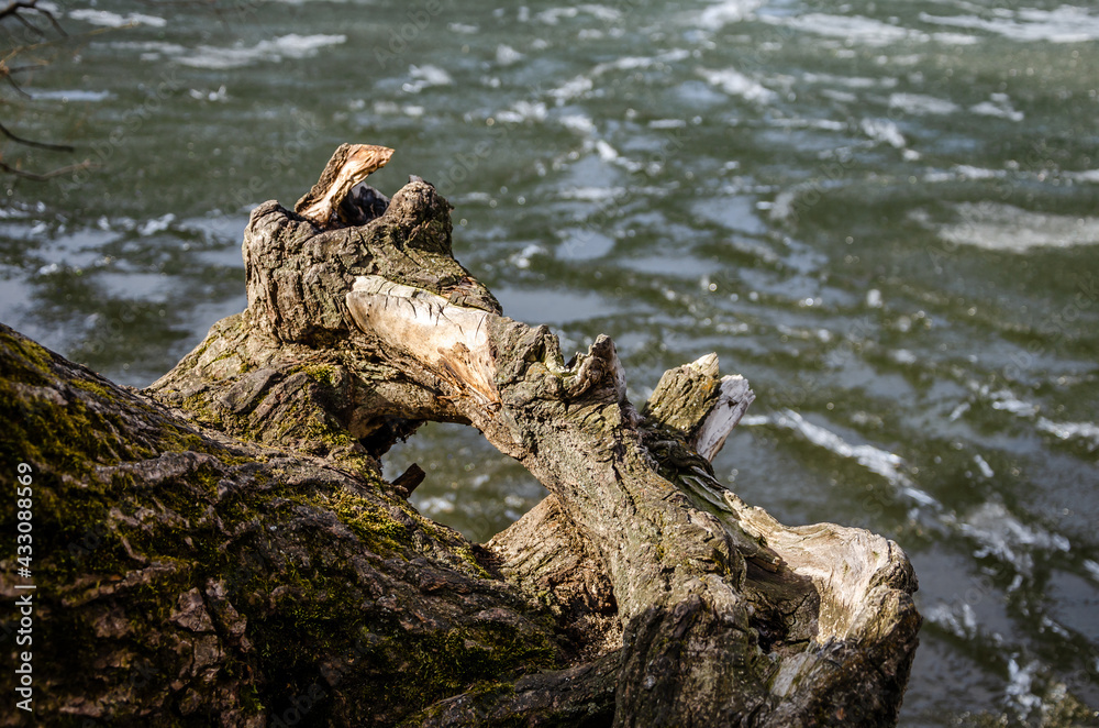 The river bank in spring .Melting ice in the lake. The river bank in spring .Melting ice in the lake.