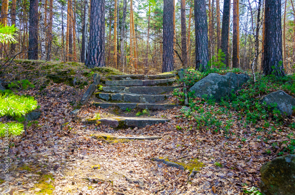 Stone staircase in the forest among the trees. Stone staircase in the forest among the trees.