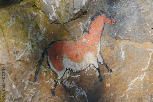close up of a stone age cave painting showing a wild horse tarpan