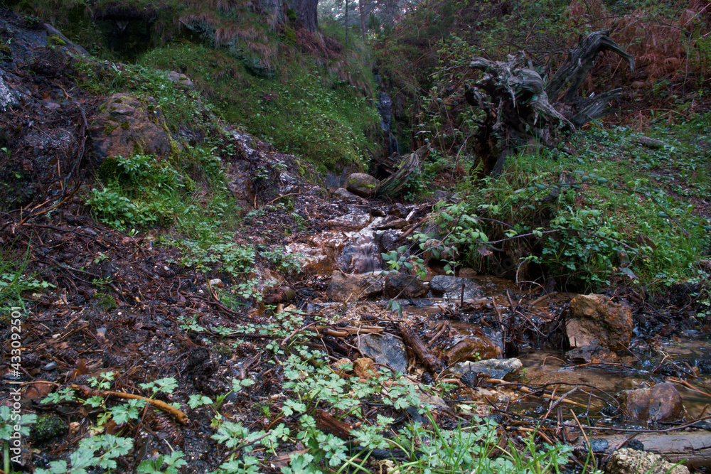 krajobraz góry widok natura przyroda drzewa rośliny krajobraz góry widok natura przyroda drzewa rośliny