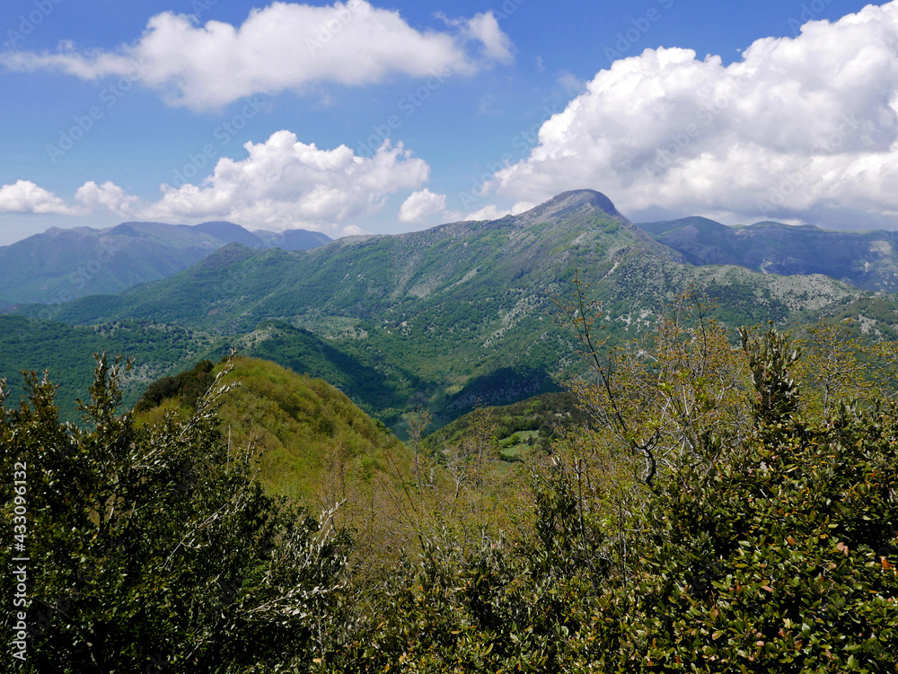 rilassante panorama collinare in una giornata serena