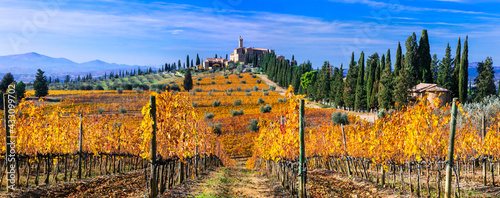 Autumn scenery. countryside of Tuscany. Golden vineyards and castle Castello di  Banfi. Italy photo
