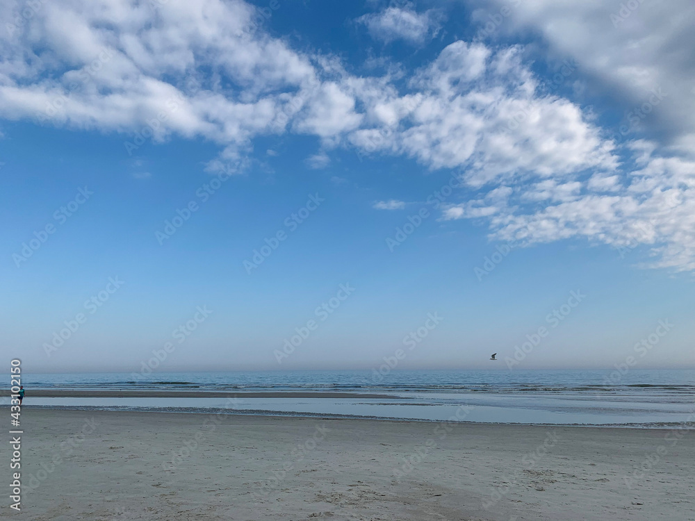 beach and sea