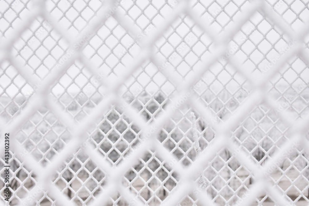 Frosty Fence Frosty Fence