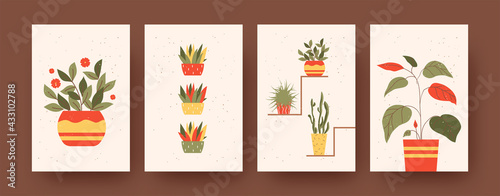 Set of contemporary art posters with floral and garden theme. Vector illustration. .Collection of plants in colorful flowerpots. Nature, plant, home interior concept for social media, postcards design