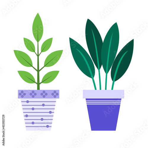 Plants and nature homemade flowers in pot interior decoration in flat style. Vector illustration.
