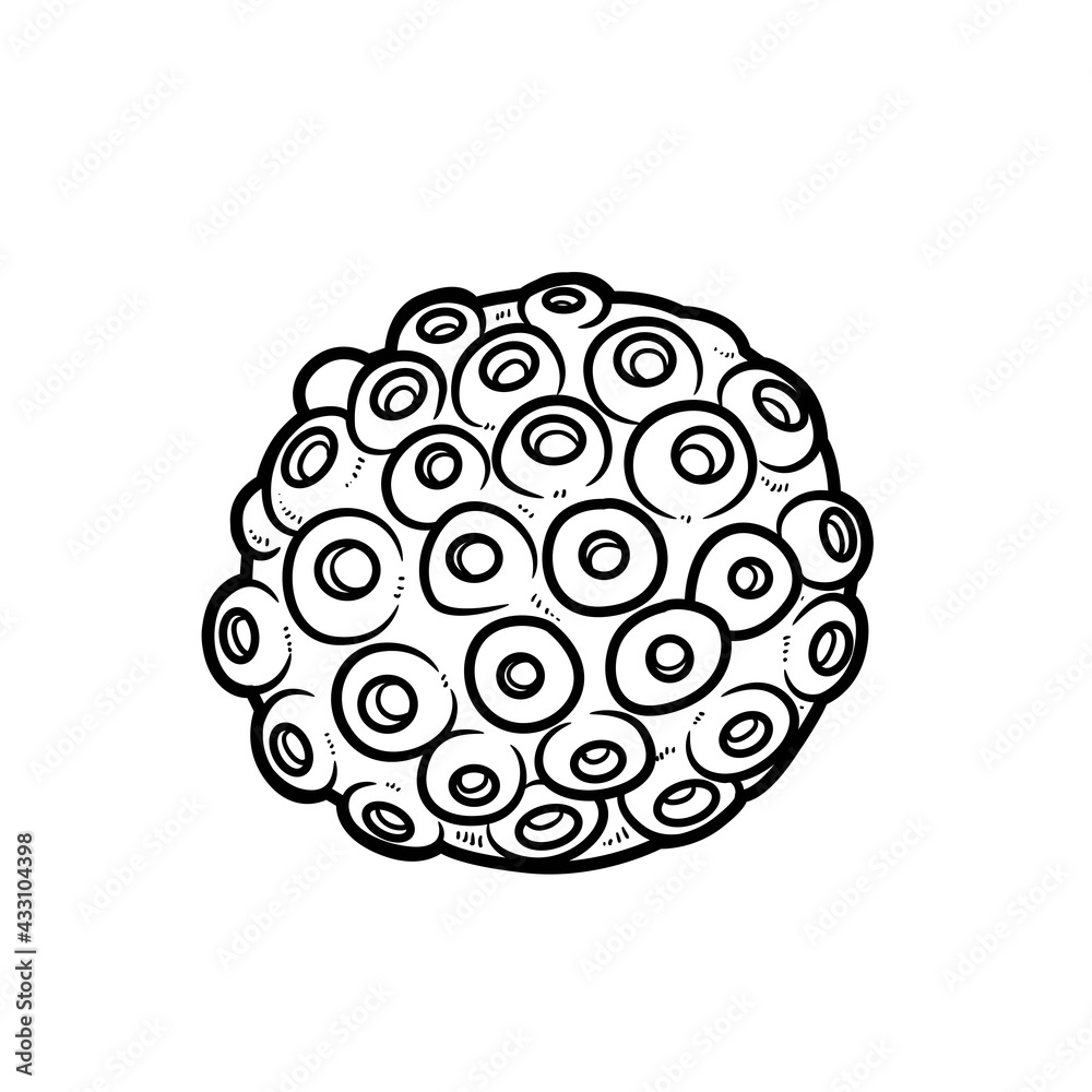 Round sponge coloring book linear drawing isolated on white background Round sponge coloring book linear drawing isolated on white background