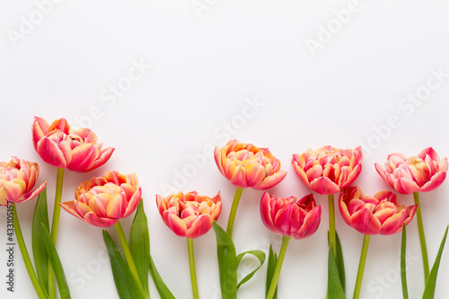 Spring flowers  tulips on pastel colors background. Retro vintage style.
