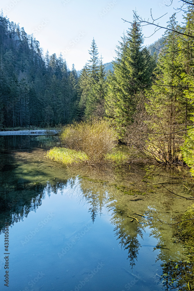 Creek scene, Velky Sokol gorge, Slovak Paradise national park