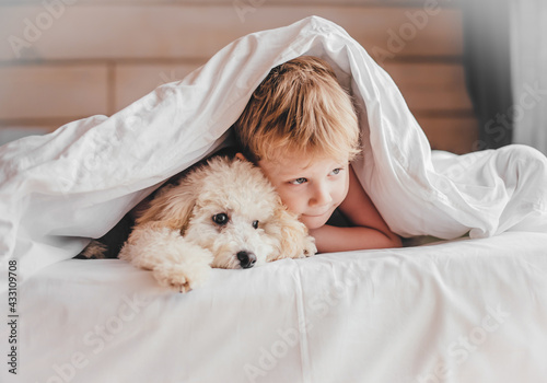 The boy and the poodle puppy lie on the bed. The boy hugs the poodle.