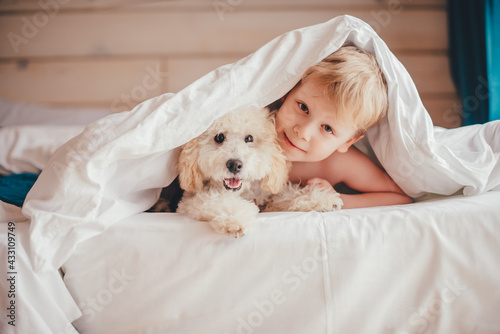 A boy and a poodle puppy lie on the bed and look out from under the covers. Looking into the camera.