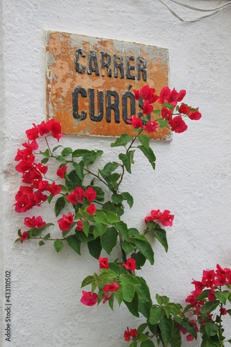 Cadaqués, Catalogne	 photo