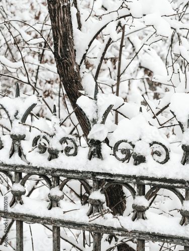 landscape with trees and snow ancient fence wrought iron in the snow