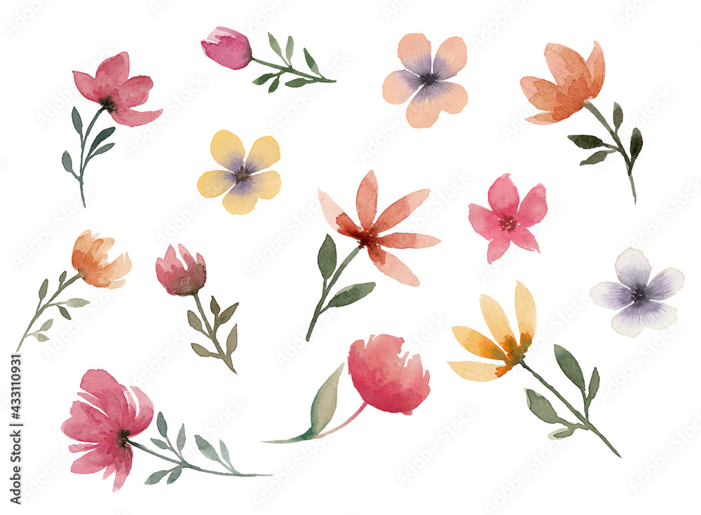 Big watercolor collection of different flowers on write background, summer set of flowers for decoration 
