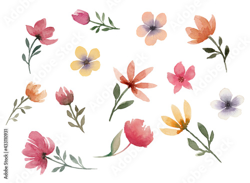 Big watercolor collection of different flowers on write background, summer set of flowers for decoration  © Yussi_161