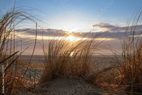 Sun behind dune grass at sunrise