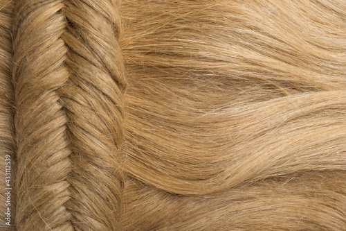 Dry fibers of common flax for the production of flax fabrics. Abstract background.