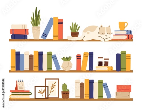 Book shelves. Rack books, interior bookshelf with cat, plants in pot and accessories. Isolated comfy scandinavian style home shelf, bookcase vector elements photo