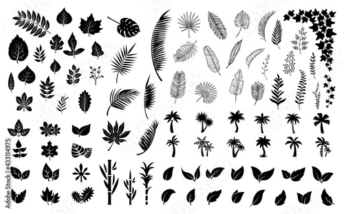 Leaves silhouettes. Black leaf, palm tree foliage. Isolated flat planting collection. Forest, exotic palms and ivy vector bundle