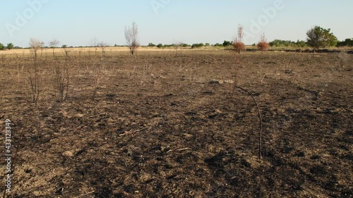 Agricultural land set on fire by farmers to remove crop residues left in the field after harvesting grains