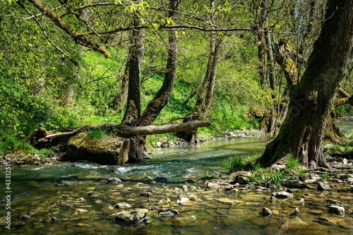 Fluss Schandtauber im Frühling bei Rothenburg