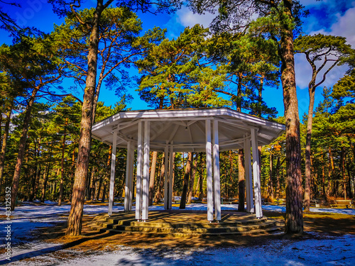Rotonda in Palanga, where symphonic music performances take place in summer. Rotonda among pines ir a forest