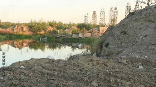 Pair of Mute Swans (Cygnus olor) swimming in water hole surrounded by construction and demolition waste