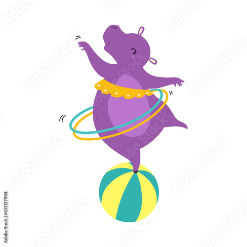 Circus Hippo Animal Balancing in Ball with Hula Hoop Performing Trick Vector Illustration