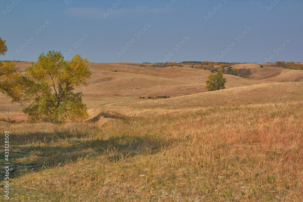 Obraz premium Rolling prairie landscape of remote Nebraska in the fall