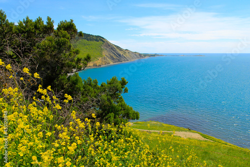 Seascape in bright colors of sky, sea and summer flowers.